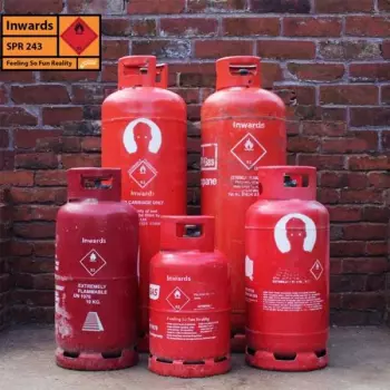 Inwards: Feeling So Fun Reality Ep