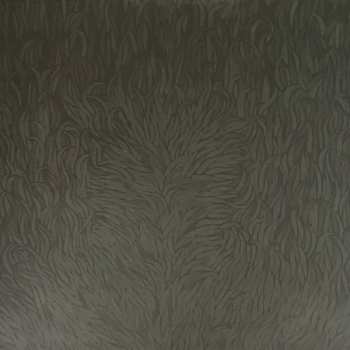 2LP Iron And Wine: Our Endless Numbered Days  DLX