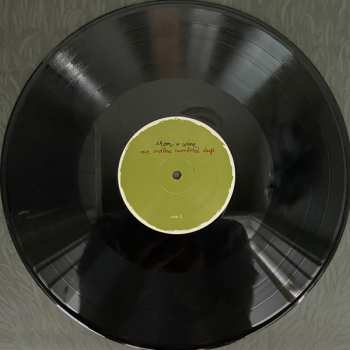 2LP Iron And Wine: Our Endless Numbered Days  DLX