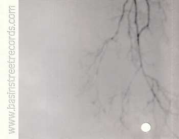 CD Irvin Mayfield: Strange Fruit