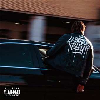 LP Isha: Labrador Bleu