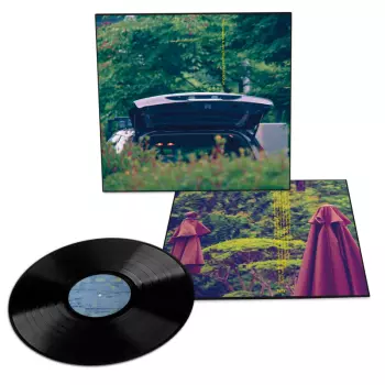 Jim O'Rourke: Pareidolia