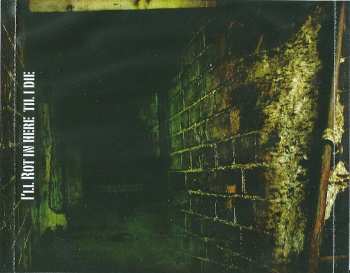 CD Isolation: Lockdown