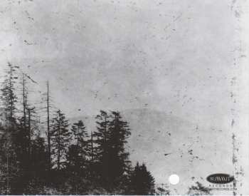 CD Jack Wilkins: The Blue & Green Project