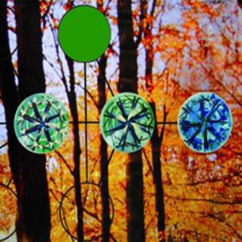 Album Jackie O Motherfucker: American Mystica