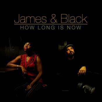 Album James Black: How Long Is Now