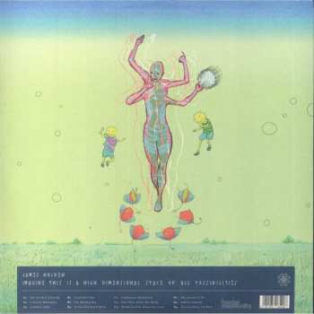 2LP James Holden: Imagine This Is A High Dimensional Space Of All Possibilities