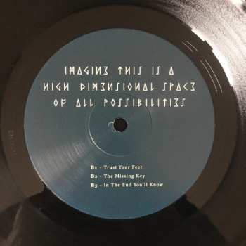 2LP James Holden: Imagine This Is A High Dimensional Space Of All Possibilities