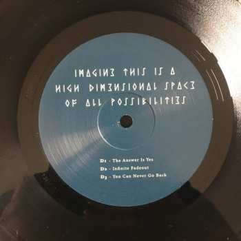 2LP James Holden: Imagine This Is A High Dimensional Space Of All Possibilities