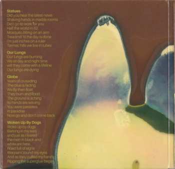 CD James Mainwaring: Mycorrhiza