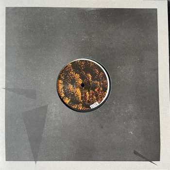 LP James Ruskin: From The Ashes