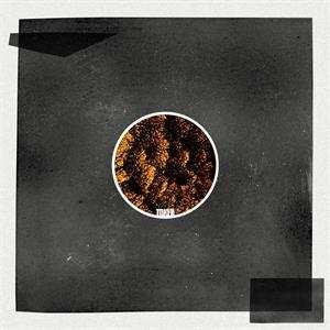 LP James Ruskin: From The Ashes