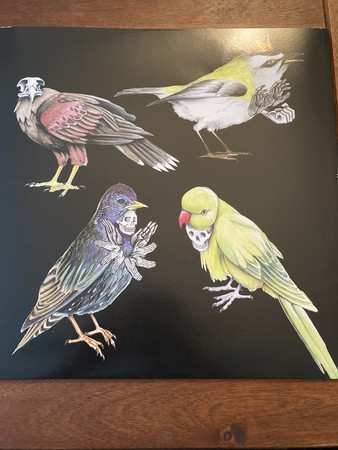 LP Jason Molina: Eight Gates LTD