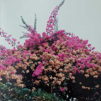 LP Jay Som: Turn Into
