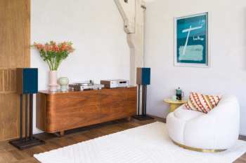 Technique audio JBL TT350 Ořech/Stříbrná