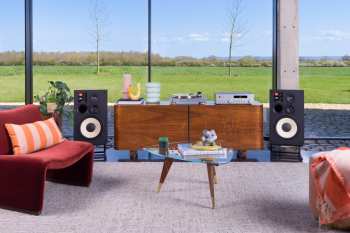 Technique audio JBL TT350 Ořech/Stříbrná