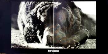 LP Jefferson Airplane: Crown Of Creation CLR