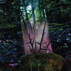 LP Jensen Sportag: Stealth Of Days LTD