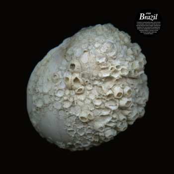 CD JFDR: Brazil