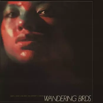 Jiro Inagaki & His...: Wandering Birds