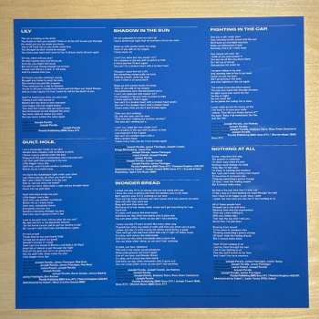 LP Joe P: Garden State Vampire CLR