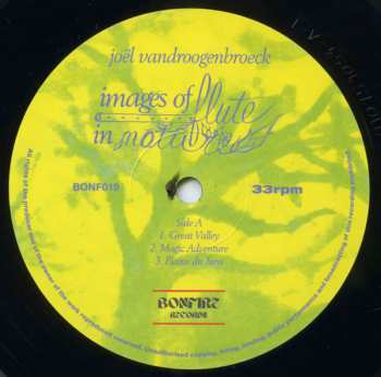 LP Joel Vandroogenbroeck: Images Of Flute In Nature