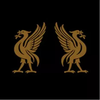 Joey Cape: Liverbirds
