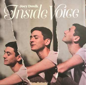 LP Joey Dosik: Inside Voice