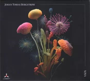 Johan Tobias Bergstrøm: Nova