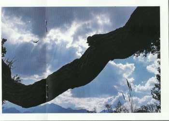 CD John Martyn: The Simmer Dim