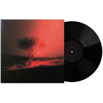 LP Joji: Piss in the Wind