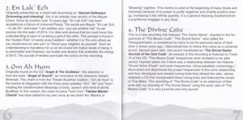 CD Jonathan Goldman: 2013: Ecstatic Sonics
