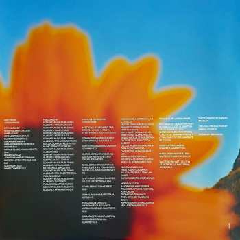 2LP Jordan Rakei: The Loop CLR | LTD