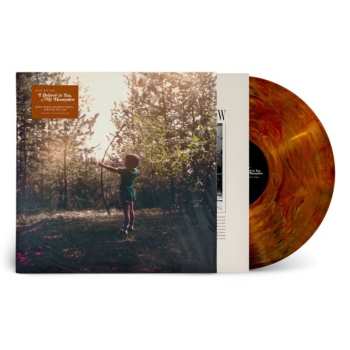 Album Josh Ritter: I Believe In You, My Honeydew