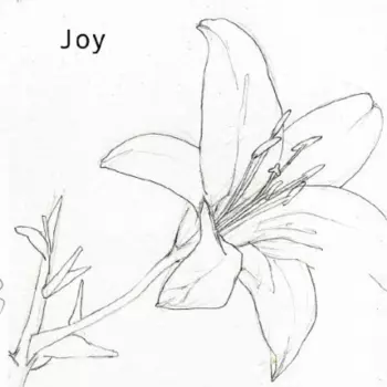Joy: Joy
