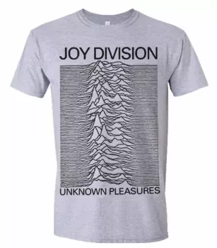 T-shirt Unknown Pleasures (grey)