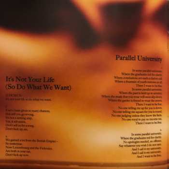 CD Julian Cope: Skellington 3 (The All-New 21st Century Adventures Of Skellington)