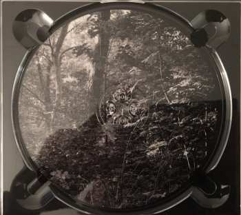 CD Julian Sas: Coming Home