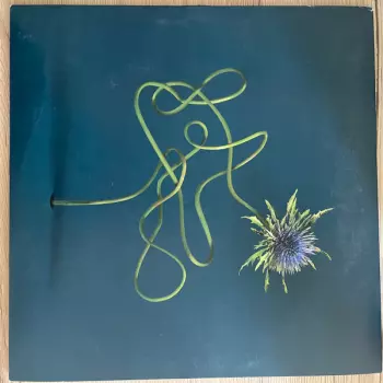 Julien Belliard: Le Mirage De ZO