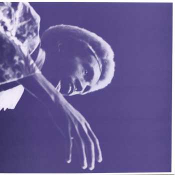 2LP/Coffret Julius Eastman: The Nigger Series CLR | LTD