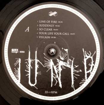 LP Junip: Junip