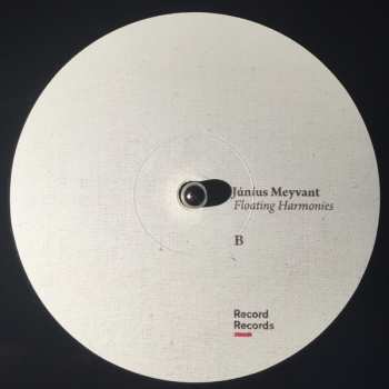 2LP Júníus Meyvant: Floating Harmonies