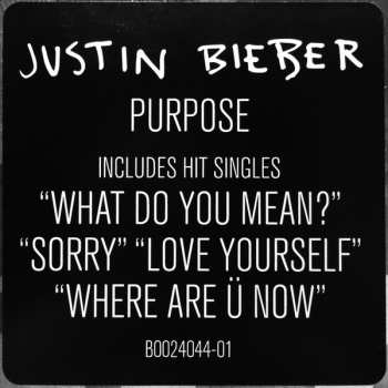 2LP Justin Bieber: Purpose