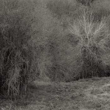 Album K. Leimer: Atrophies For Piano