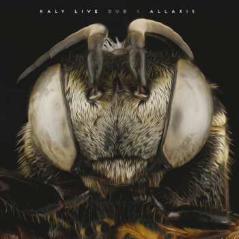 CD Kaly Live Dub: Allaxis