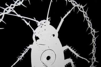 LP Kapala: Infest Cesspool
