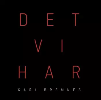 Det vi har