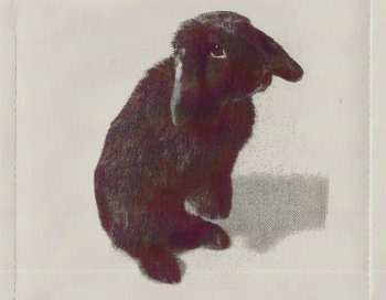 CD Kate Nash: My Best Friend Is You