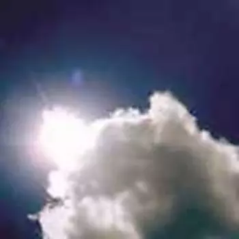 Makoto Kawabata: Inui.3