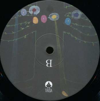 LP Kayo Dot: Coyote LTD